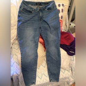 Judy Blue Skinny Fit Jeans 18w
